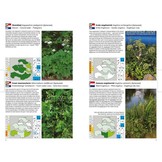 Veldgids Flora Zeelandica - Feldführer