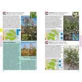 Veldgids Flora Zeelandica - Feldführer