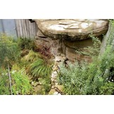 Captive Habitats - Building, furnishing and maintaining naturalistic vivariums and enclosures