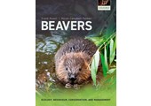Beavers