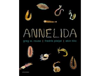 Annelida