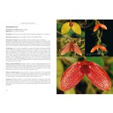 A Compendium of Miniature Orchid Species (4-Volume Set)