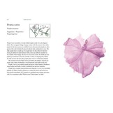 The Seaweed Collector's Handbook