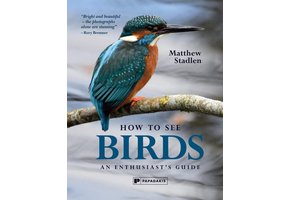 How to See Birds