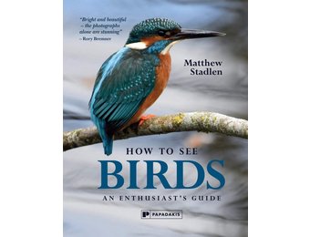 How to See Birds
