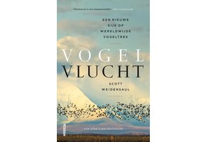 Vogelvlucht