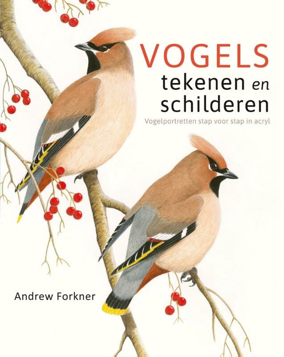 Groenteboer Varen Vaardigheid Vogels tekenen en schilderen - Veldshop.nl