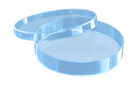 Petri dish 92 x 16 mm, with ventilation cams (delivered per roll of 20 pieces)