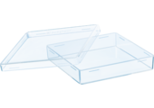Sarstedt Petrischaal vierkant met afgeronde hoeken, 100x100x20 mm