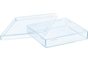 Sarstedt Petrischale quadratisch mit abgerundeten Ecken, 100x100x20 mm