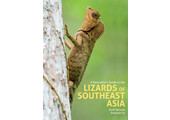 A Naturalist's Guide to the Lizards of Southeast Asia