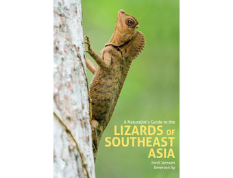 A Naturalist's Guide to the Lizards of Southeast Asia