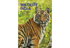 A Photographic Guide to the Wildlife of India