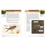 An Identification Guide to Garden Insects of Britain and North-West Europe