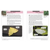 An Identification Guide to Garden Insects of Britain and North-West Europe