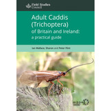 Adult Caddis (Trichoptera) of Britain and Ireland - A Practical Guide