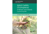 Adult Caddis (Trichoptera) of Britain and Ireland