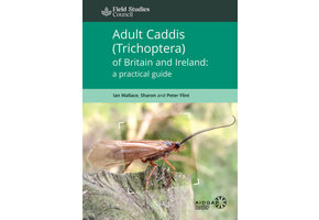 Adult Caddis (Trichoptera) of Britain and Ireland