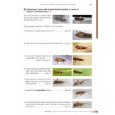 Adult Caddis (Trichoptera) of Britain and Ireland - A Practical Guide