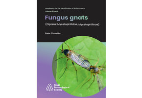 Fungus Gnats