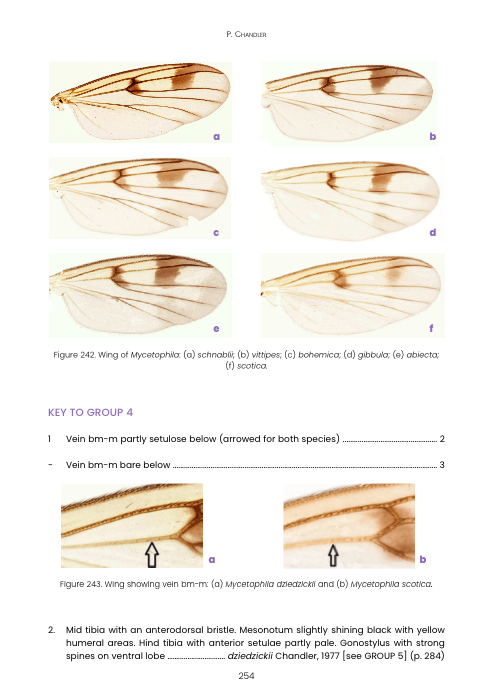 RES Handbook, Volume 9, Part 8: Fungus Gnats (Diptera: Mycetophilidae, Mycetophilinae)
