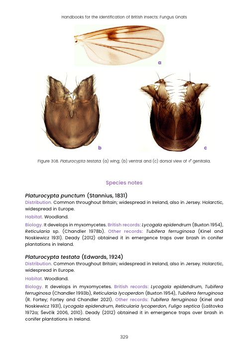 RES Handbook, Volume 9, Part 8: Fungus Gnats (Diptera: Mycetophilidae, Mycetophilinae)
