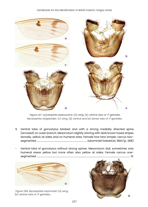 RES Handbook, Volume 9, Part 8: Fungus Gnats (Diptera: Mycetophilidae, Mycetophilinae)