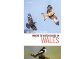 Where to Watch Birds in Wales