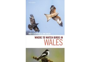 Where to Watch Birds in Wales
