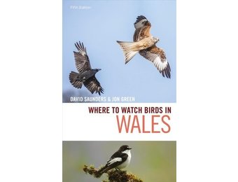 Where to Watch Birds in Wales