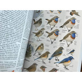 Collins Bird Guide 3rd Edition