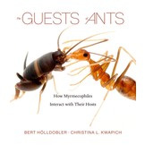 The Guests of Ants - How Myrmecophiles Interact with Their Hosts