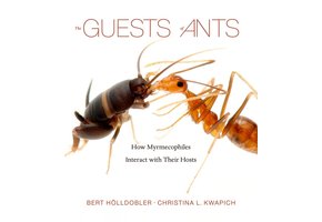 The Guests of Ants