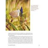 The Guests of Ants - How Myrmecophiles Interact with Their Hosts