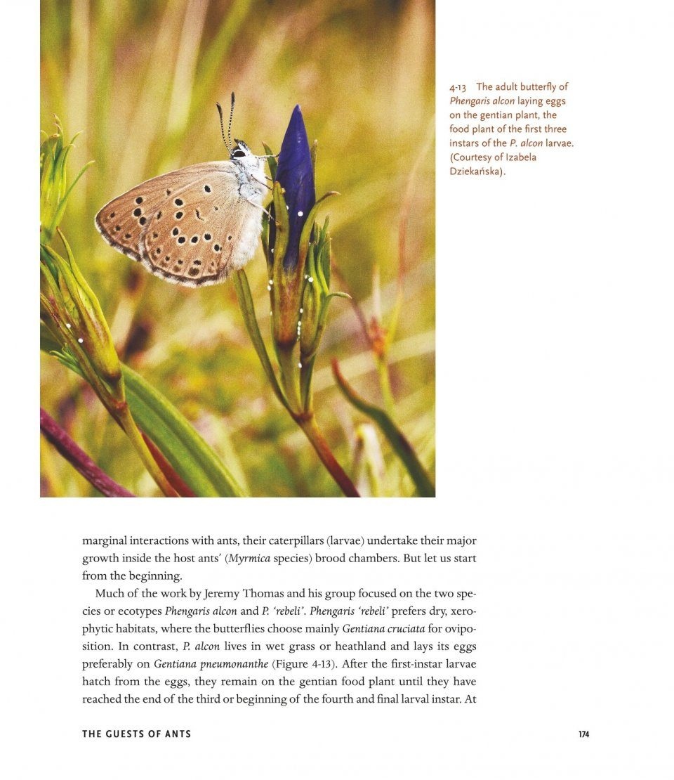 The Guests of Ants - How Myrmecophiles Interact with Their Hosts