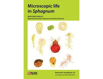 Microscopic life in Sphagnum