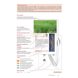 Guide Expert des Carex de France - Manuel d'identification de terrain