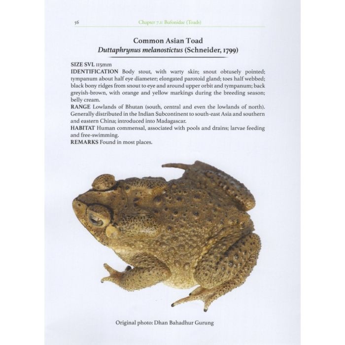 The Amphibians of Bhutan - Veldshop.nl