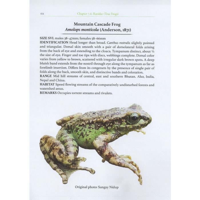 The Amphibians of Bhutan - Veldshop.nl