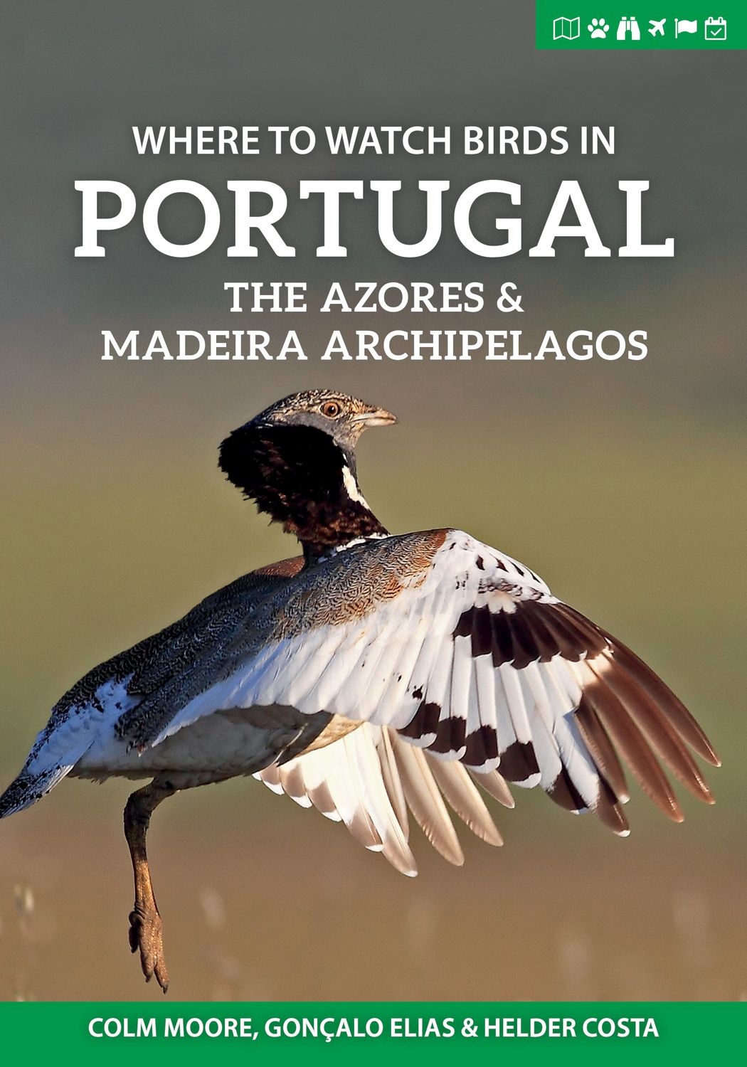 A Birdwatchers’ Guide to Portugal, the Azores & Madeira Archipelagos