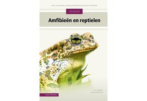 Veldgids Amfibieën en reptielen