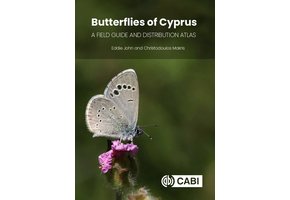 Butterflies Of Cyprus