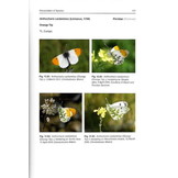 Butterflies Of Cyprus - A Field Guide and Distribution Atlas
