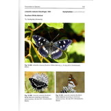 Butterflies Of Cyprus - A Field Guide and Distribution Atlas
