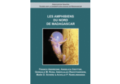 Les Amphibiens du Nord de Madagascar
