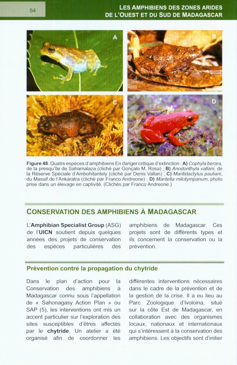 Les Amphibiens des Zones Arides de l'Ouest et du Sud de Madagascar