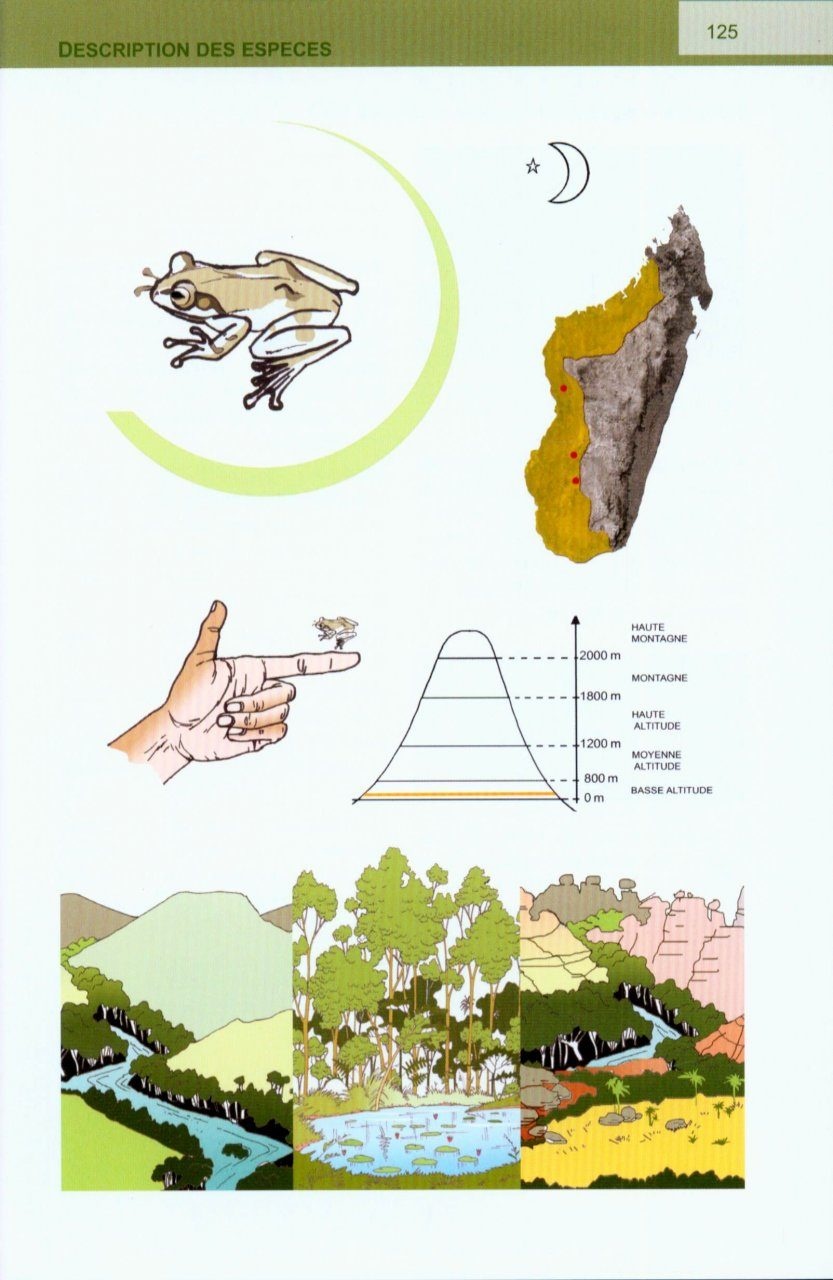 Les Amphibiens des Zones Arides de l'Ouest et du Sud de Madagascar