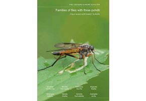 Families of Flies with Three Pulvilli