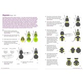 Families of Flies with Three Pulvilli - Field Guide Northwest Europe