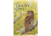 The Tawny Owl